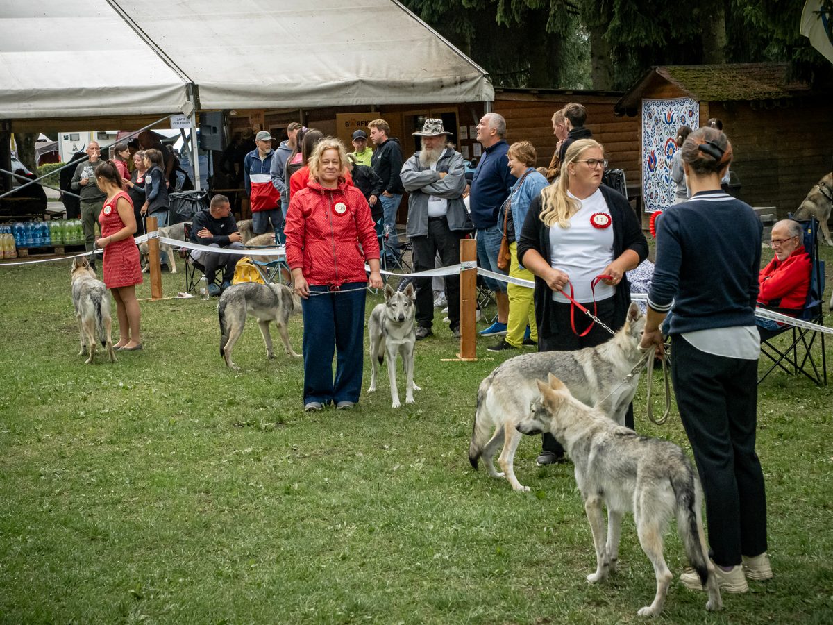 Výstava Dolný Kubín 24.–25. 7. 2026 🏵️🇸🇰
