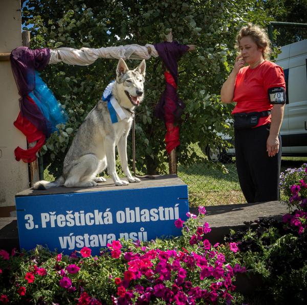 Výstava Přeštice 29. 8. 2026