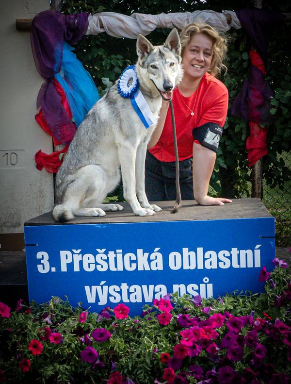 Výstava Přeštice 29. 8. 2026