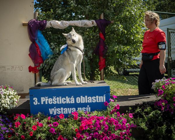Výstava Přeštice 29. 8. 2026