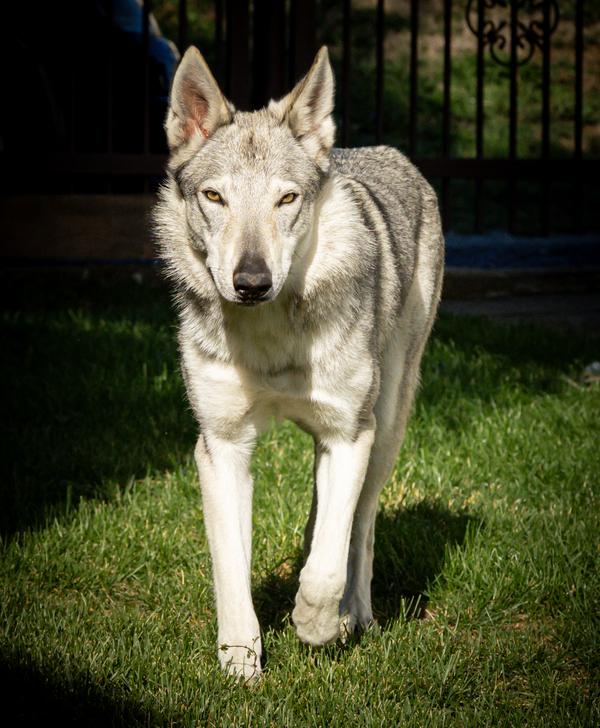 Dnes 14. 9. 2026 má Xenička narozeniny🎉.