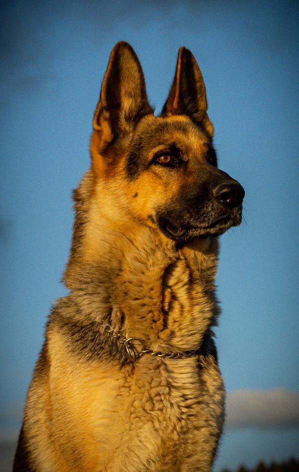 My tři.