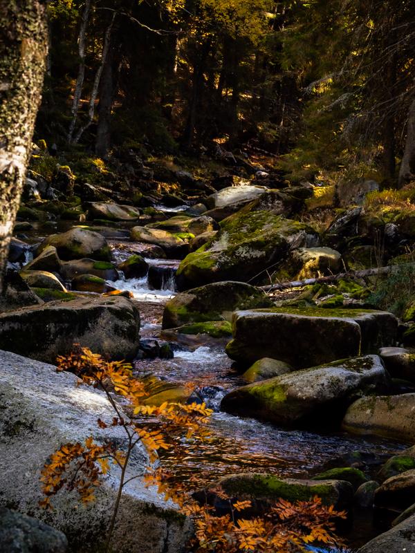 Podzimní Šumava